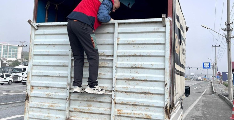 Kütahya'da Kurban Bayramı Öncesi Hayvan Denetimleri Devam Ediyor