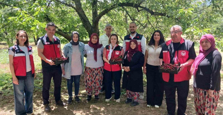 Kütahya'da organik tarım ve iyi tarım projeleri değerlendirildi