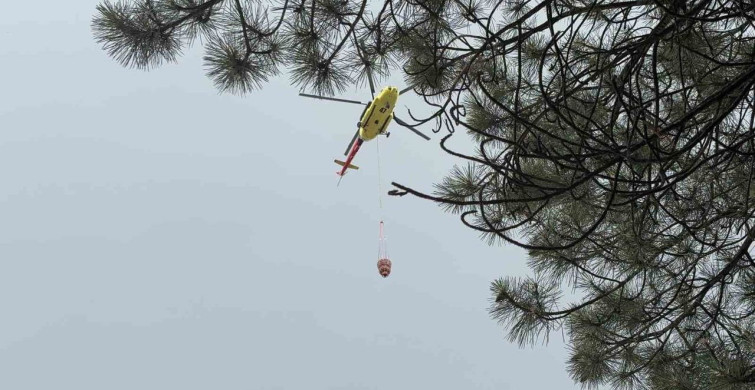 Kütahya'da ormanlık alanda çıkan yangın helikopter desteği ile söndürüldü