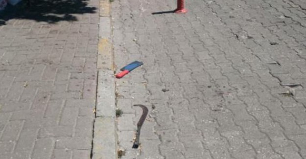Kütahya'da Pazarda Satırlı Kavga: 3 Yaralı