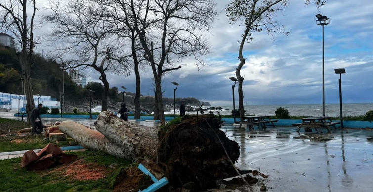 Kuvvetli Rüzgar Zonguldak ve Düzce'de Etkilerini Gösterdi