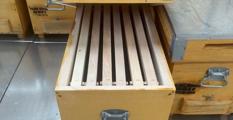 Kuyucak İle Dünyaya Açılan Arı Kovanı İhracatı