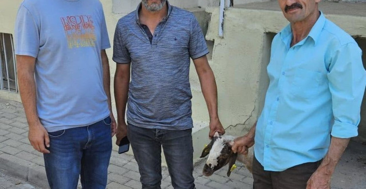 Kuze sahibine kulak küpe numarasıyla ulaşıldı