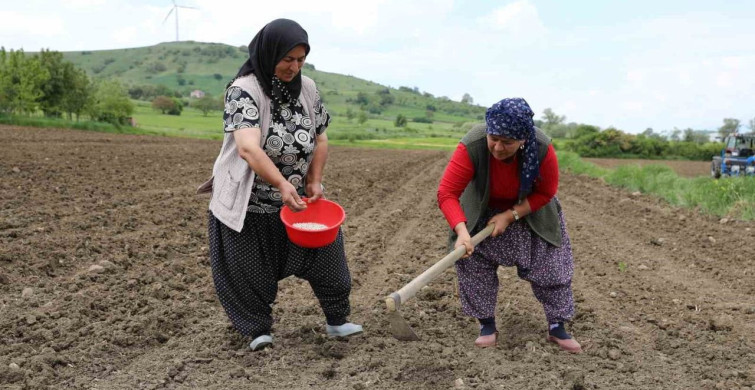 Ladik Fasulyesi Yeni Sezonda Üreticilerle Buluştu