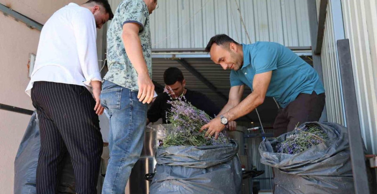 Lavanta üreten kadın kooperatifine katma değer desteği