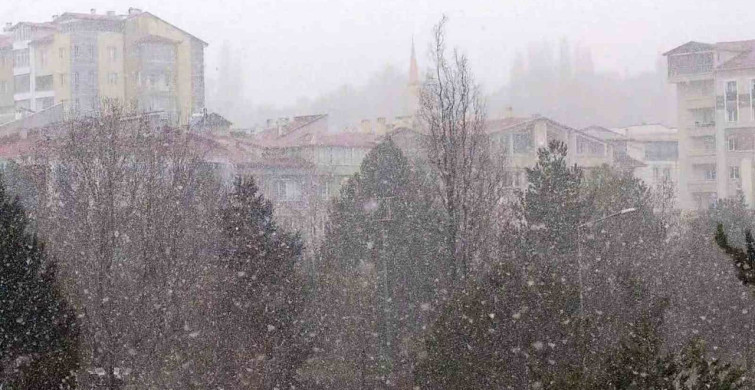 Leyleklerin Erken Göçü Sivas'ta Karla Buluştu