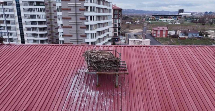 Leyleklerin Gecikmesi Öğrencileri Üzüyor