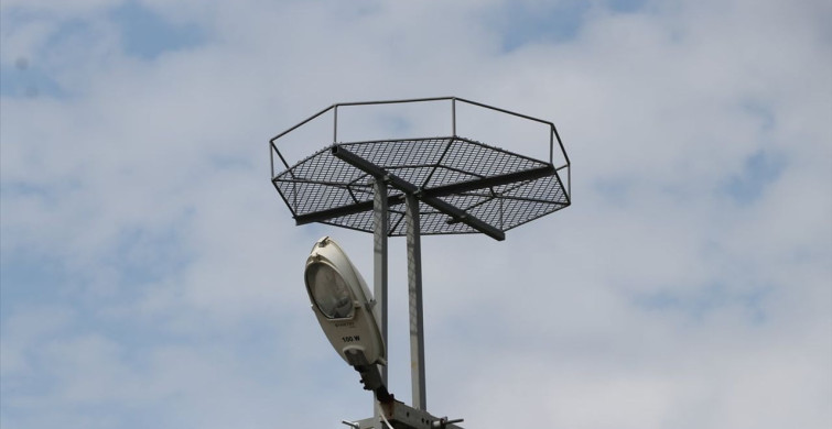 Leyleklerin Güvenliği için Trakya'da 1000 Platform Kuruldu