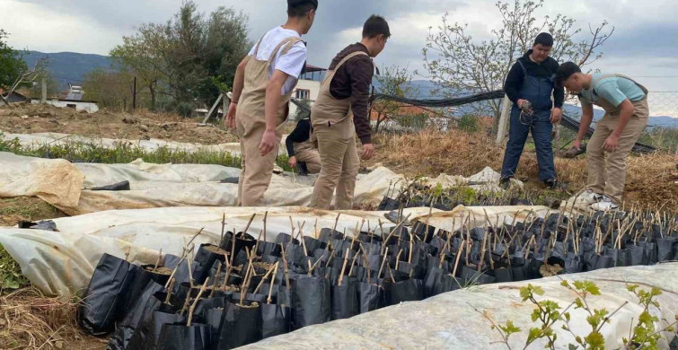 Lise Öğrencilerinden Tarıma Katkı: Emcelli Biberin Yeniden Üretimi