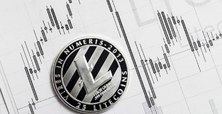 Lit coin nedir? Litentry coin projesi ve yol haritası