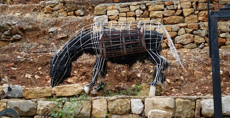 Lübnanlı Sanatçı Charl Nassar'ın Barış Temalı Sanatı