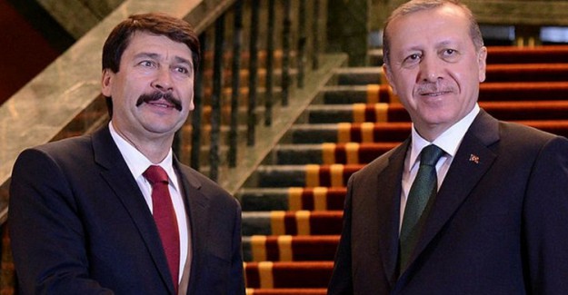 Macaristan'dan Kritik Türkiye Açıklaması!