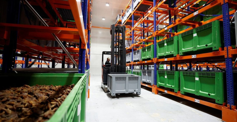 Malatya Kayısısının Dünya Pazarındaki Gücü