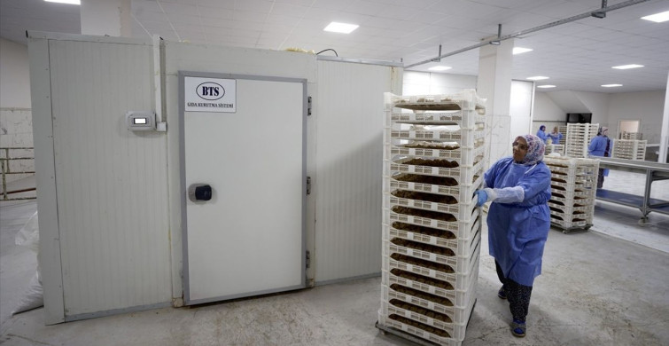 Malatya Tarhanası İhracata Hazırlanıyor