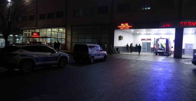 Malatya'da akrabalar arasında dut ağacı kavgası: 1'i çocuk 3 yaralı