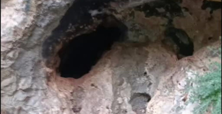Malatya'da bir mağarada binlerce arının bal yapma anları kaydedildi