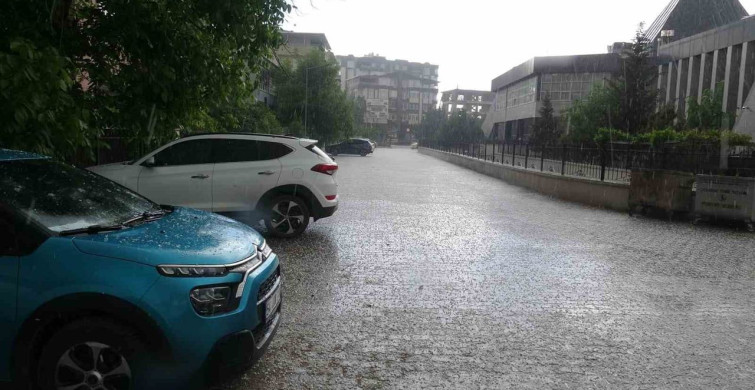 Malatya'da Dolu Yağışı Hayatı Olumsuz Etkiledi