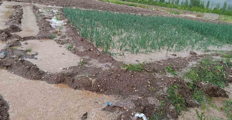 Malatya'da Dolu Yağışı Tarım Arazilerini Vurdu