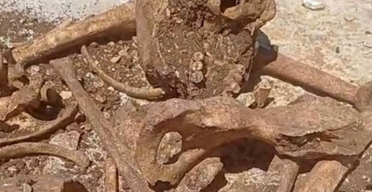 Malatya'da inşaat temelinde insan kemikleri bulundu