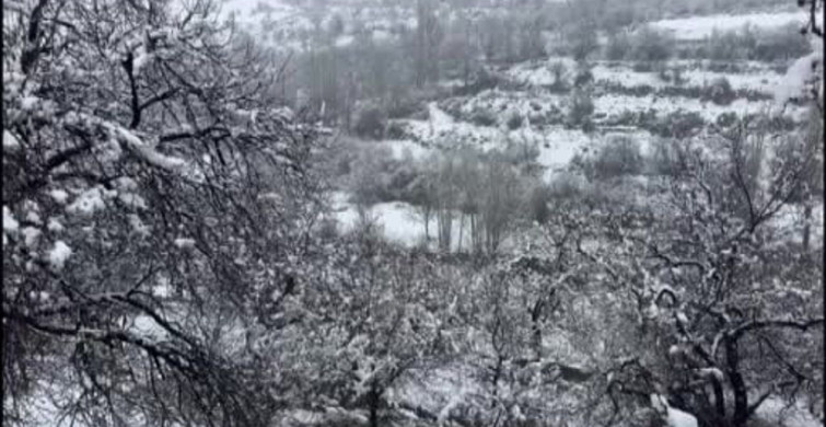 Malatya'da Kar Yağışı Kayısı Bahçelerini Beyazlarla Kapladı