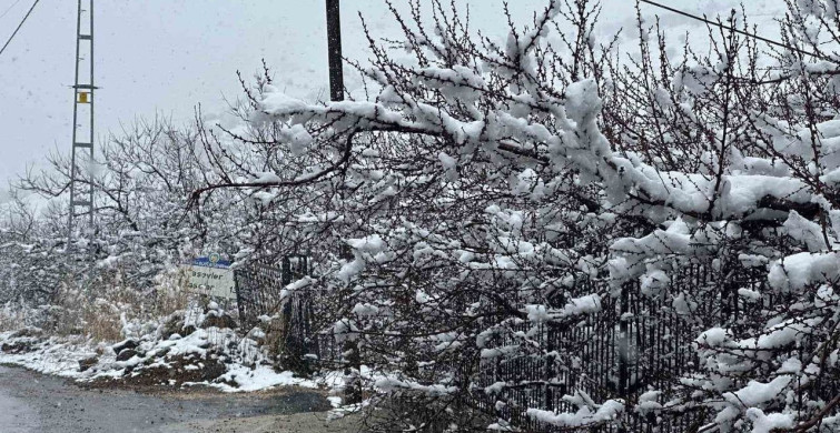 Malatya'da Kayısı Bahçeleri Karla Kaplandı