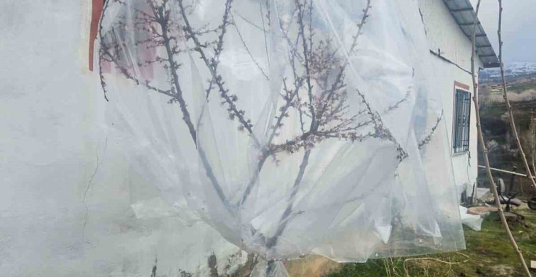 Malatya’da Kayısı Üreticileri Zirai Don Tehdidine Karşı Harekete Geçti