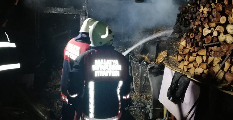 Malatya'da Kümeste Çıkan Yangında 250 Hayvan Telef Oldu