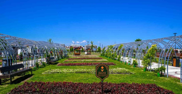 Malatya'da park ve kavşaklar çiçeklerle süslendi