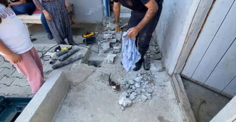 Malatya'da plastik boruya sıkışan yavru kedi itfaiye ekiplerince kurtarıldı