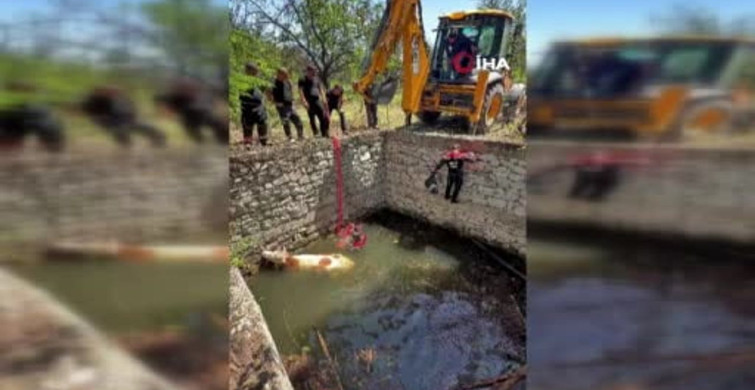 Malatya'da sulama havuzuna düşen gebe inek, itfaiye ekipleri tarafından kurtarıldı