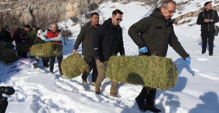 Malatya'da Yaban Hayvanları İçin Yem Bırakıldı