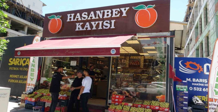 Malatya'da yaş kayısı tezgahlarda yerini aldı