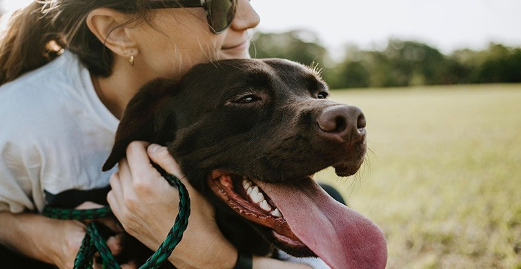 Malezya'da Köpekten İnsana Geçen Koronavirüs Türü Tespit Edildi