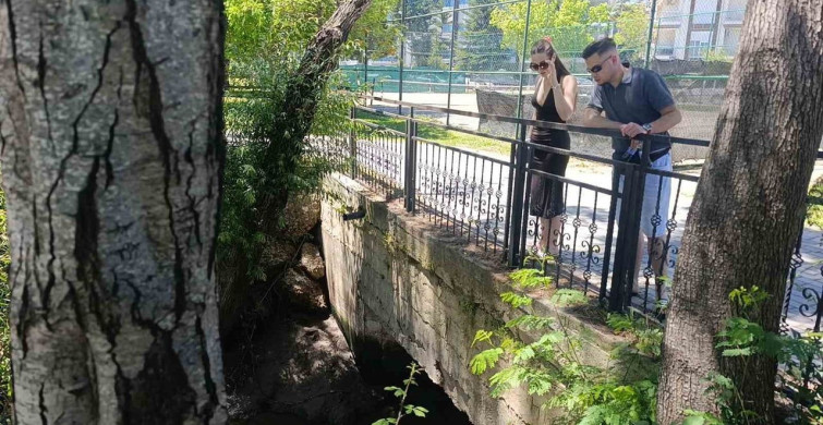 Manavgat Irmağı'ndaki Renk Değişimi Endişe Veriyor