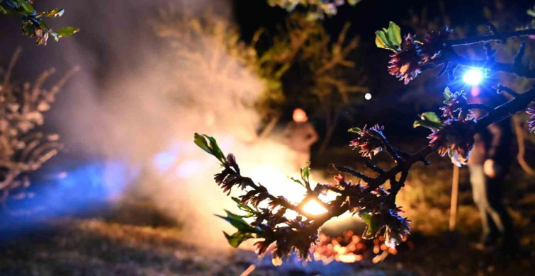 Manisa'da Badem Üreticileri Zirahi Don Tehdidiyle Mücadele Ediyor