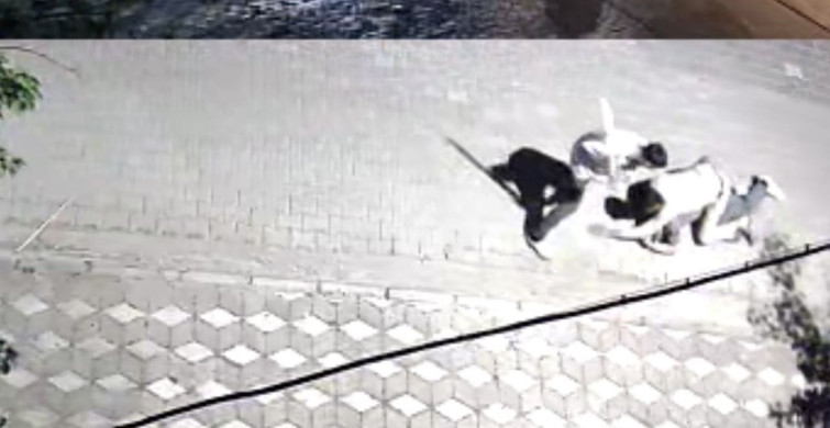 Manisa'da Kız Meselesi Nedeniyle Çıkan Kavga: 6 Yerinden Bıçaklandı