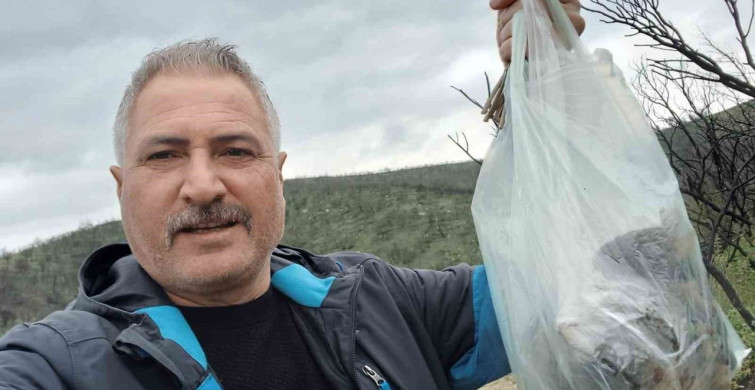 Manisa'da Kuzu Göbeği Mantarına Yoğun İlgi