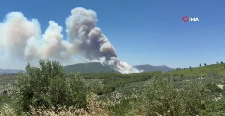 Manisa'da orman yangını İzmir-İstanbul otoyoluna ulaştı