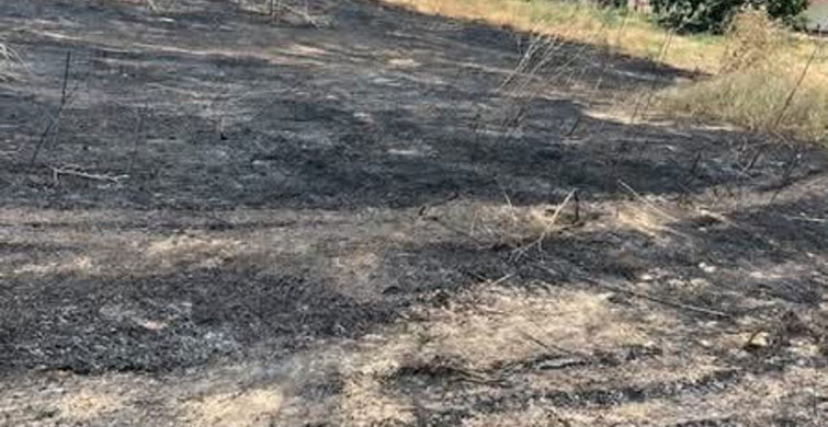 Manisa'da otluk alanda çıkan yangın kontrol altına alındı