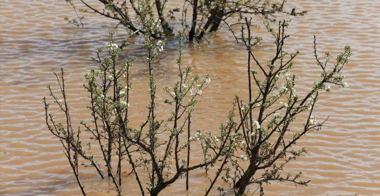 Manisa'da Sağanak ve Fırtına Sonrası Hasar Tespit Çalışmaları Devam Ediyor