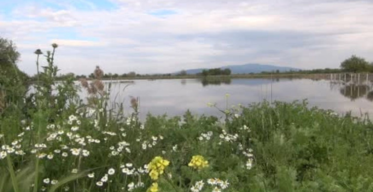 Manisa'da Sel Felaketi: TZOB Genel Başkanı Bayraktar İncelemelerde Bulundu