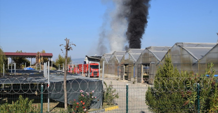 Manisa'da Sera Yangını Kontrol Altına Alındı