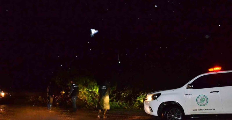 Manisa'da Yağışlar Ağaçları Devirdi, Yol Hızla Açıldı