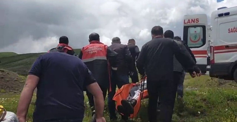 Mantar Toplama Sırasında Ayı Saldırısı