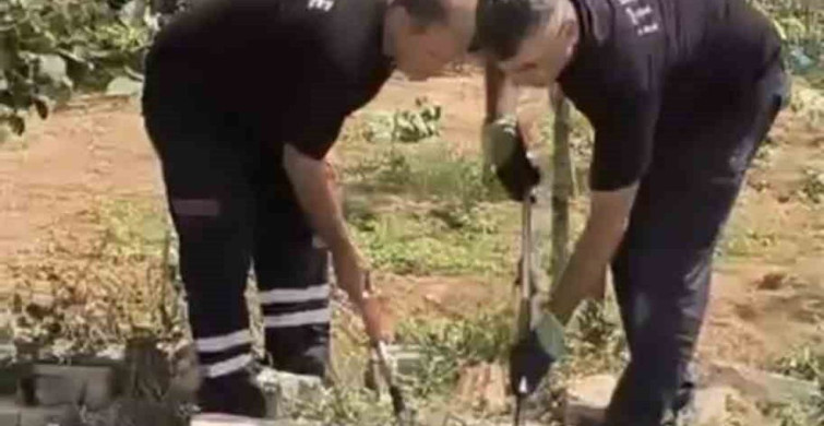 Mardin'de kuyuda bulunan yılan doğaya bırakıldı