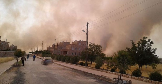 Mardin'de Orman Yangını