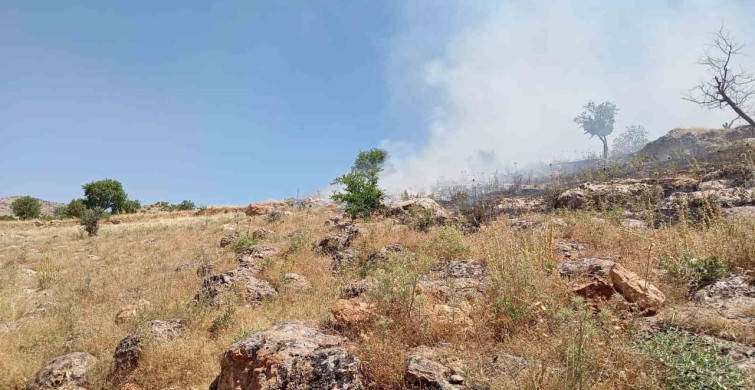 Mardin’de ormanlık alanda yangına müdahale ediliyor