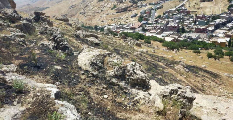 Mardin’de ormanlık alandaki yangın kontrol altına alındı
