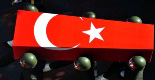 Mardin'de PKK'lı Teröristler ile Çıkan Çatışmada 1 Polis Şehit Oldu, 1 Korucu Yaralandı