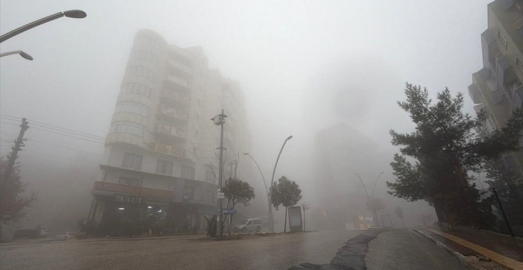 Mardin'de Yağmur ve Sis Ulaşımı Olumsuz Etkiledi